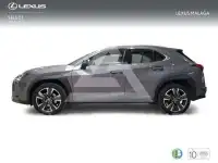2022 Lexus UX250