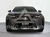 2022 Lexus UX250