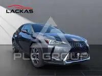 2022 Lexus UX250