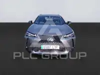 2022 Lexus UX250