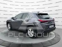 2022 Lexus UX250