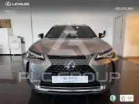 2022 Lexus UX250