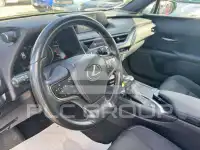 2022 Lexus UX250