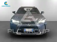 2022 Lexus UX250