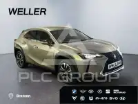 2022 Lexus UX250