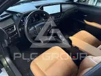 2022 Lexus UX250