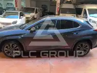 2022 Lexus UX250