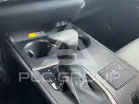 2022 Lexus UX250