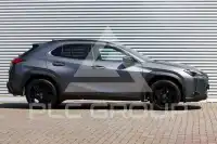 2022 Lexus UX250