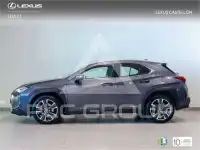2022 Lexus UX250