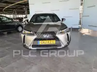 2022 Lexus UX250