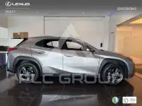 2022 Lexus UX250