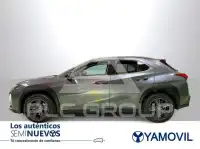 2022 Lexus UX250