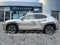 2022 Lexus UX250