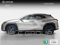 2022 Lexus UX250