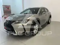 2022 Lexus UX250