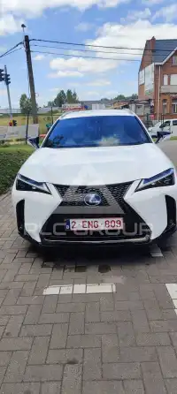 2022 Lexus UX250
