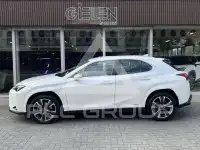 2022 Lexus UX250