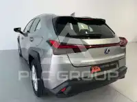 2022 Lexus UX250