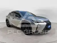 2022 Lexus UX250