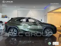 2022 Lexus UX250