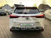 2022 Lexus UX250