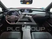 2022 Lexus UX250