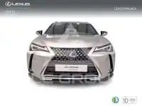 2022 Lexus UX250