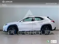 2022 Lexus UX250