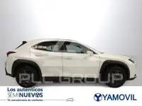 2022 Lexus UX250