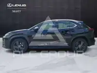 2022 Lexus UX250