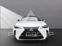 2022 Lexus UX250