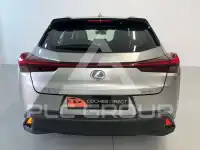 2022 Lexus UX250
