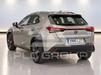 2022 Lexus UX250