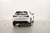 2022 Lexus UX250