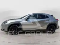 2022 Lexus UX250