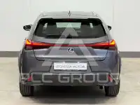 2022 Lexus UX250