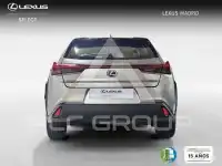 2022 Lexus UX250