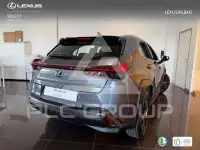 2022 Lexus UX250