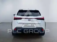 2022 Lexus UX250