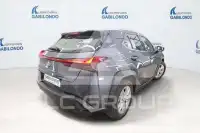 2022 Lexus UX250