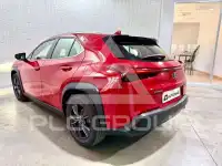 2022 Lexus UX250