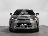 2022 Lexus UX250
