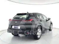 2022 Lexus UX250