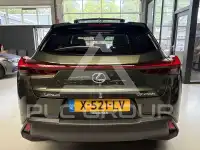 2022 Lexus UX250