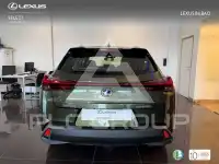 2022 Lexus UX250