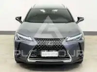 2022 Lexus UX250