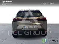2022 Lexus UX250