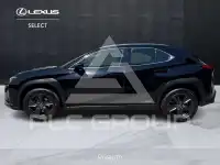 2022 Lexus UX250