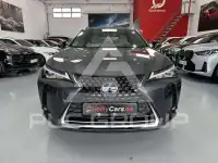 2022 Lexus UX250